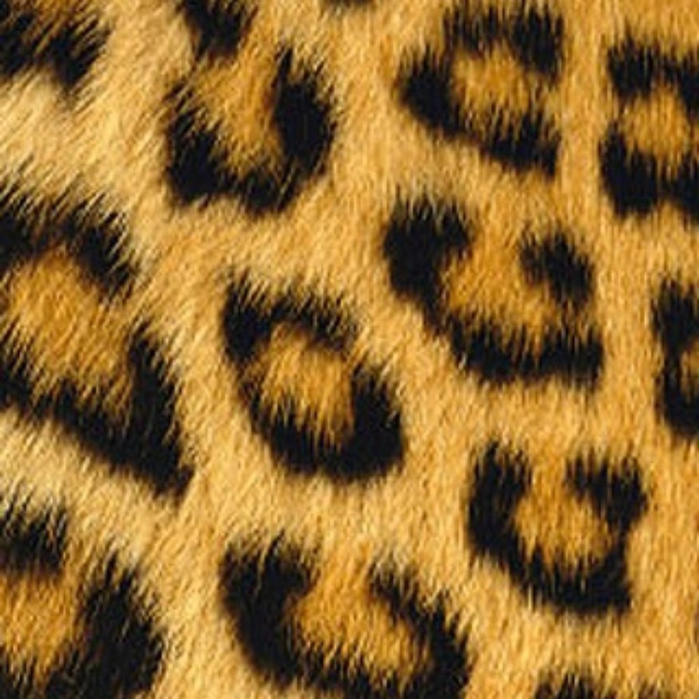 Meet your Posher, Anita